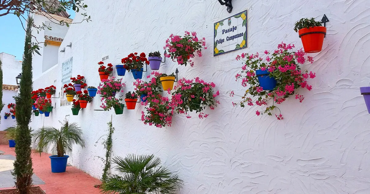 a garden passage in Estepona — Cancelling a Booking, 2026 guide