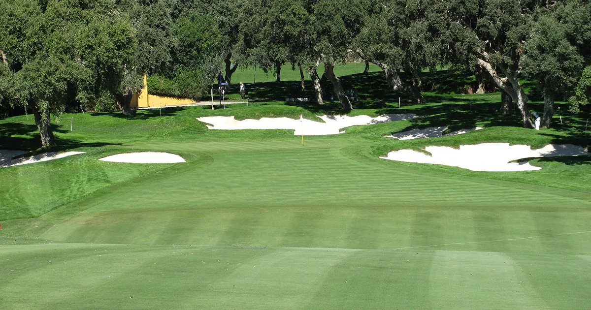 Fairway and white bunkers framed by cork oaks at Real Club Valderrama golf course in Sotogrande