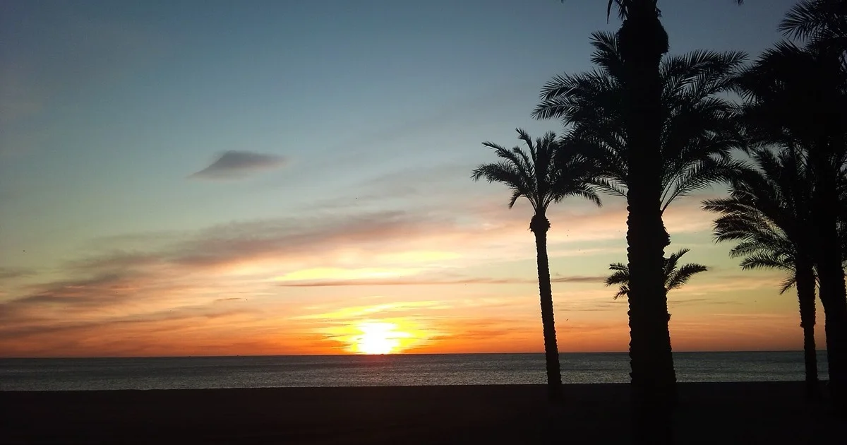 Golden-hour sunset over the sea with palm silhouettes on the beach at Los Álamos, Torremolinos — Torremolinos vs Marbella nightlife 2026